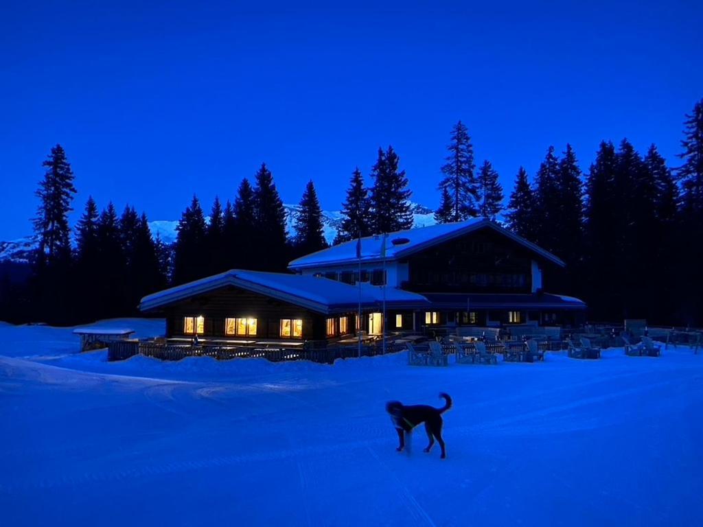 Erezsaesshuette Vila Klosters-Serneus Exterior foto